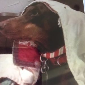 Meet your Posher, Marjorie